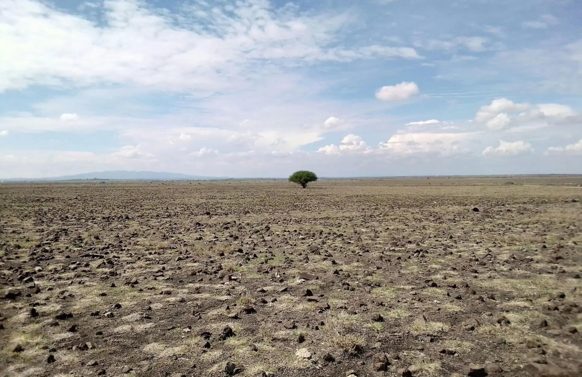 Biodiversity Loss 1930 X 1250 (1)