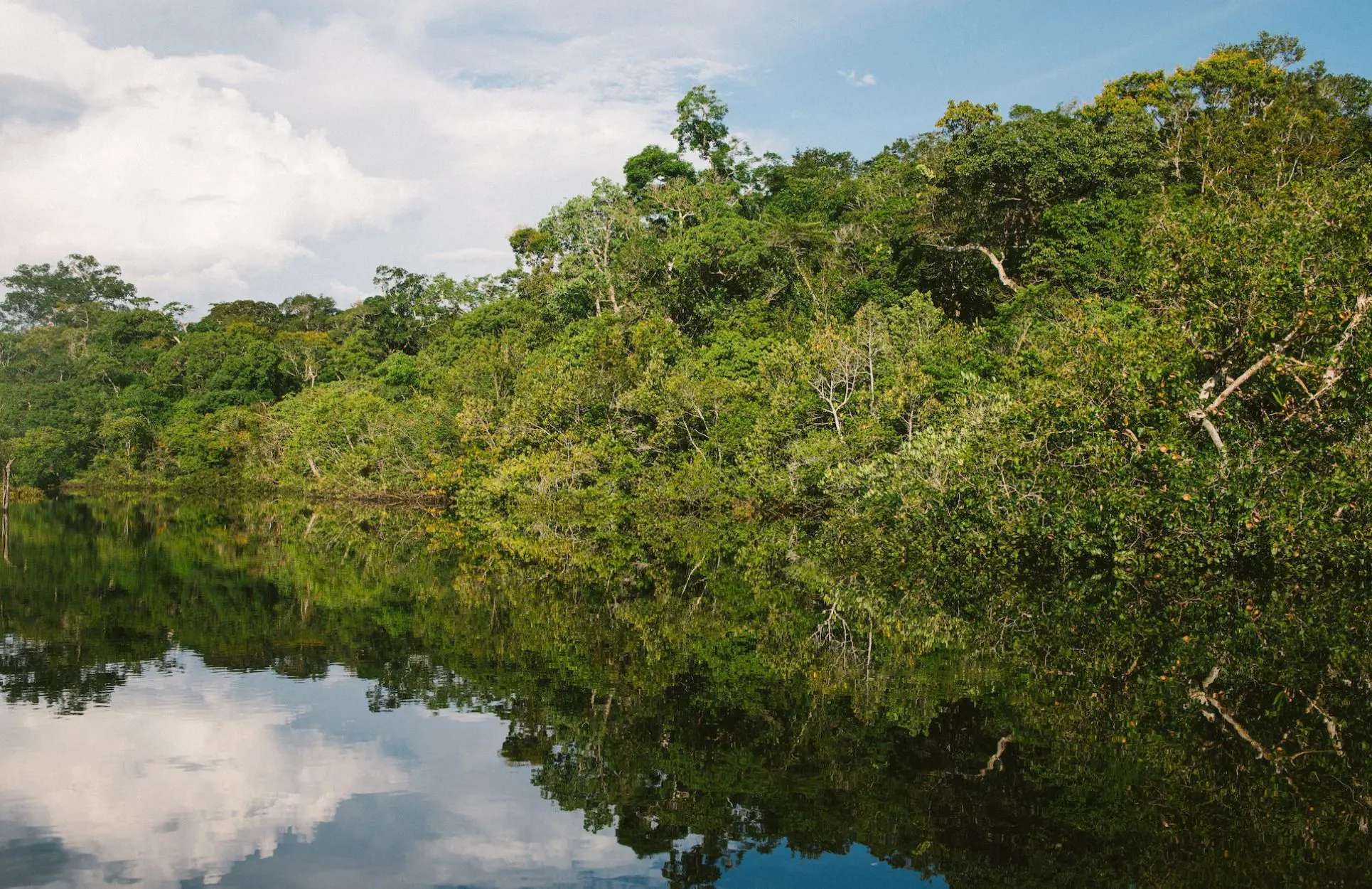 Amazon Rainforest, Brazil