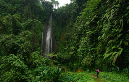 Help shape the future of nature-informed insurance underwriting