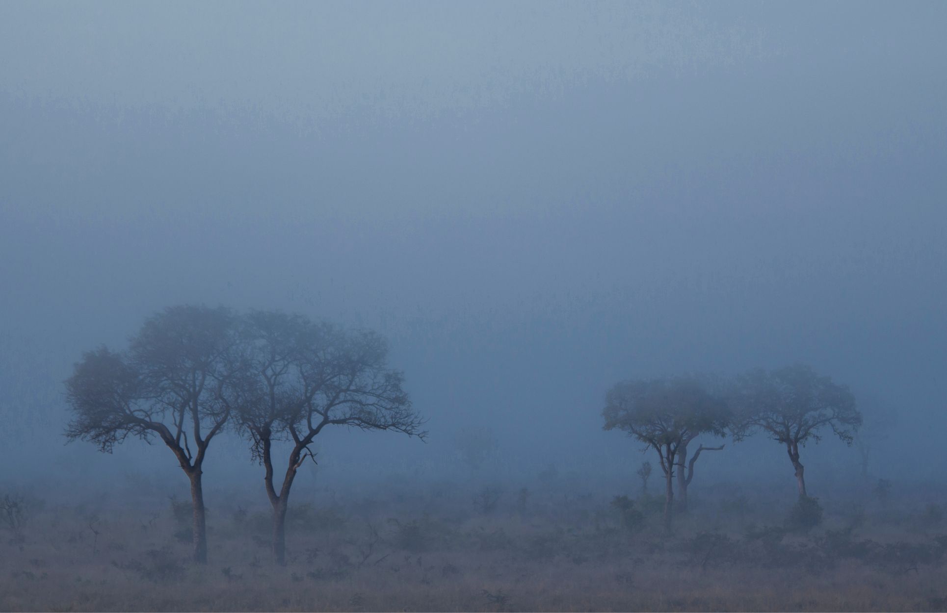 When black swans turn into gray rhinos: part 5 – risk aggregation