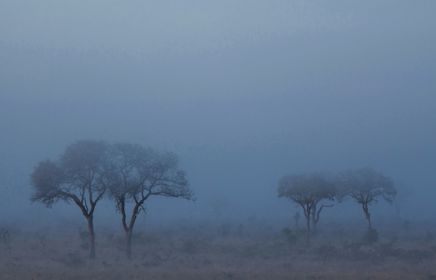 When black swans turn into gray rhinos: part 5 – risk aggregation