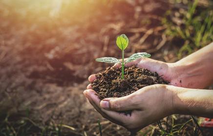 Biodiversity Sessional: Planting the seeds