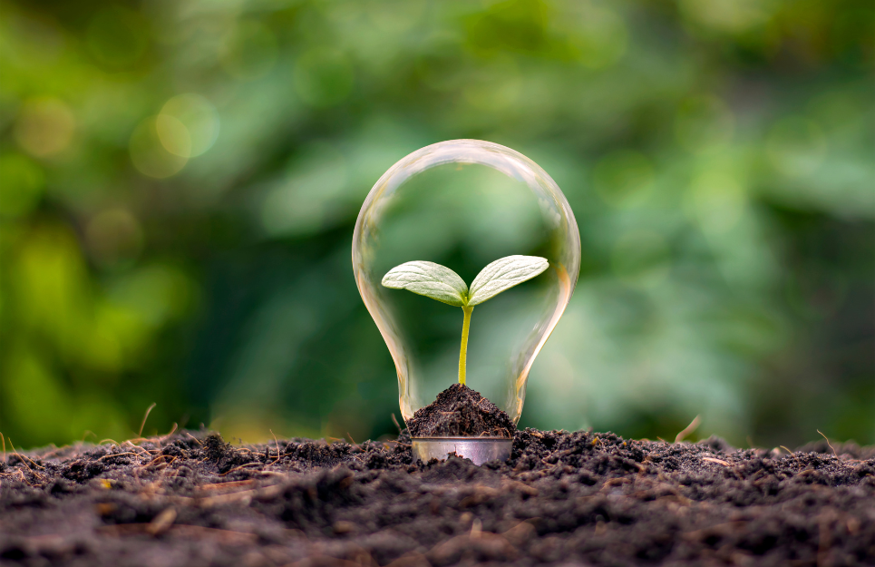 Ifoa Blog Alternative Economic Thinking
