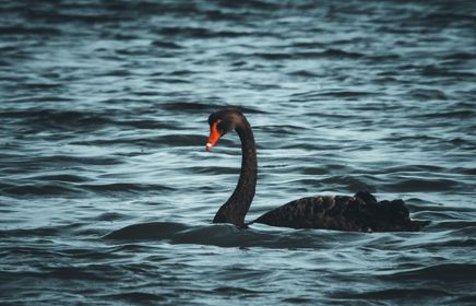 Redefining uncertainty in our unpredictable world