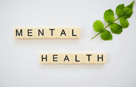 The value of digital mental health tools in insurance