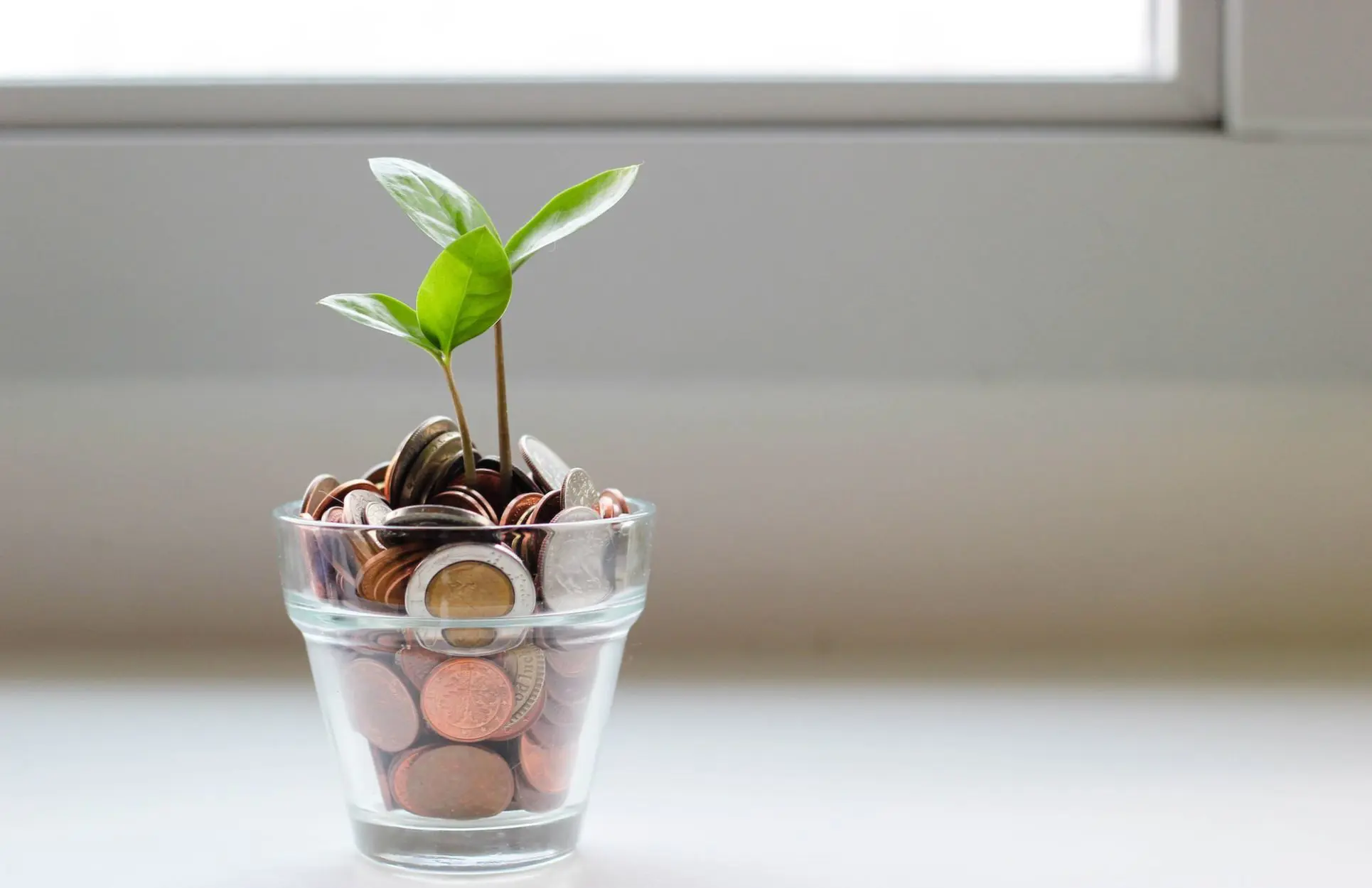 Financial Planning