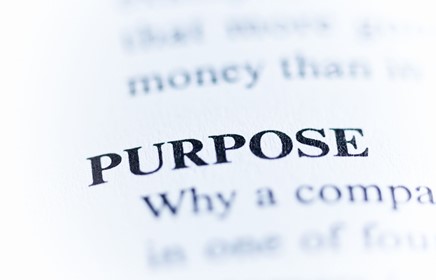 Purpose and profit