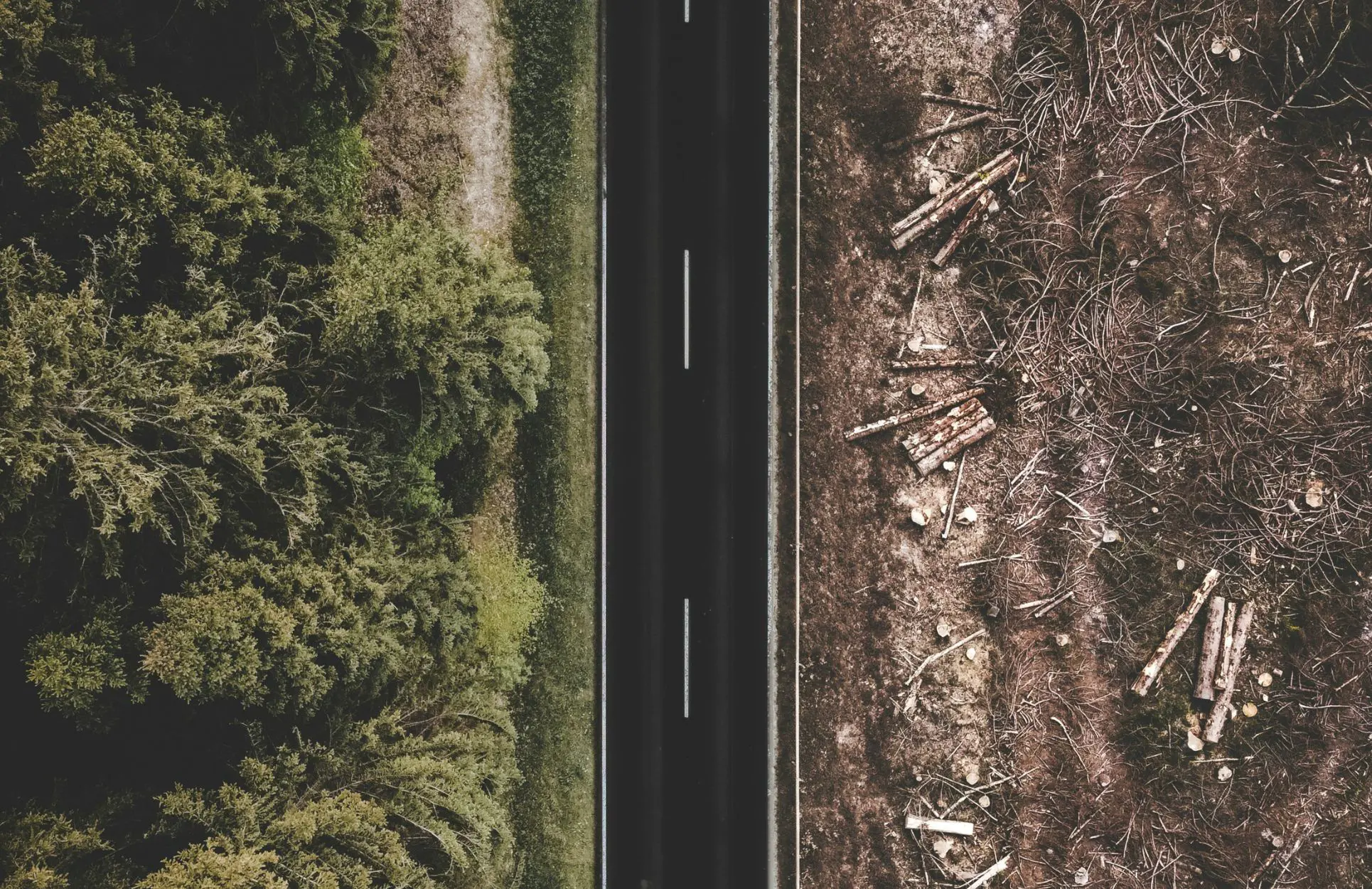 Deforestation 1930 × 1250